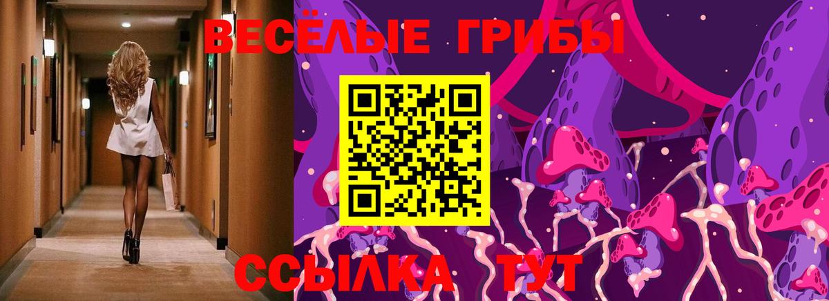 Псилоцибиновые грибы Psilocybine cubensis  Галлюциногенные грибы Cubensis  где купить   Вход с VPN  Кингисепп 
