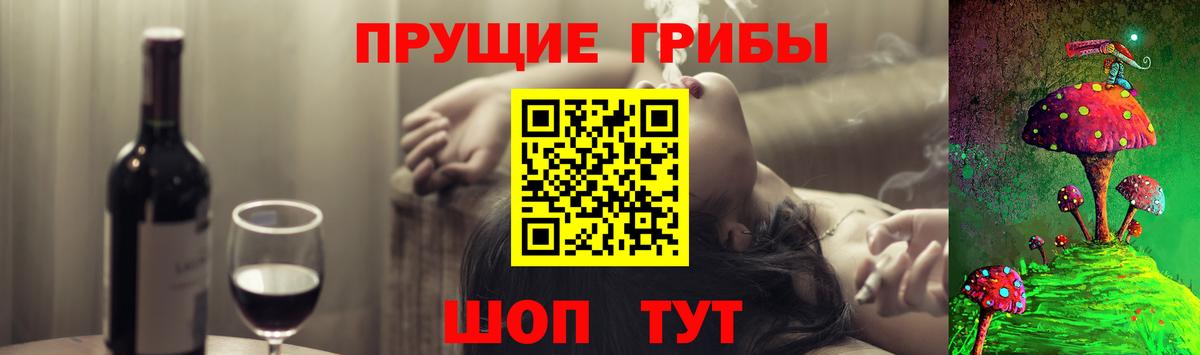 Галлюциногенные грибы Cubensis Кингисепп